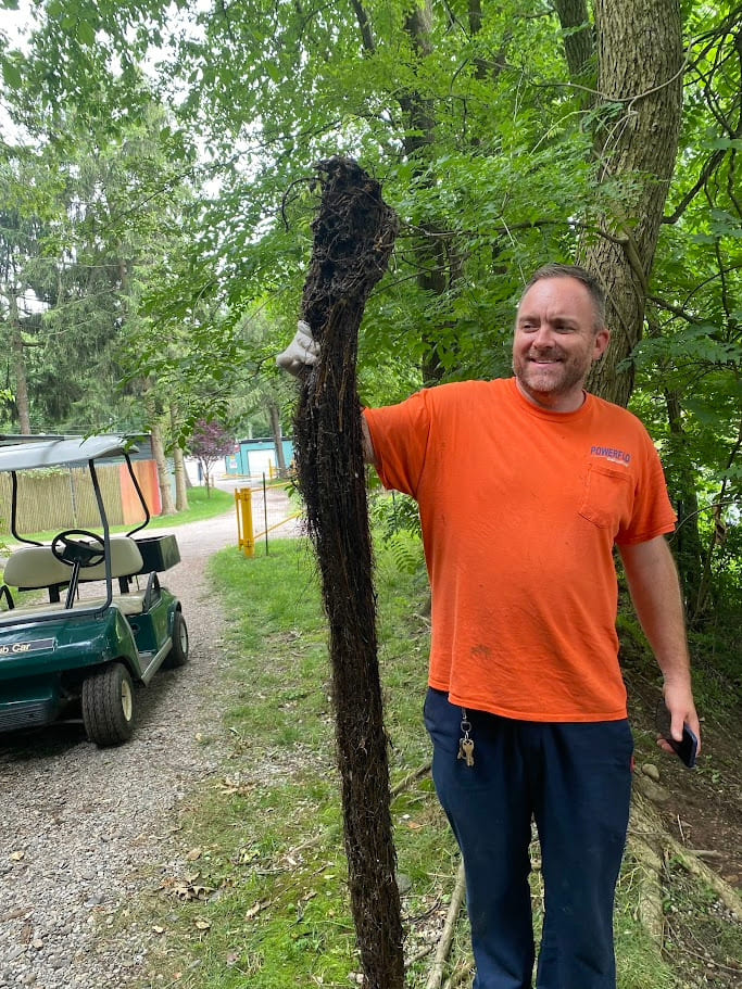 PowerFlo technician holding tree roots removed from sewer line using hydro excavation.